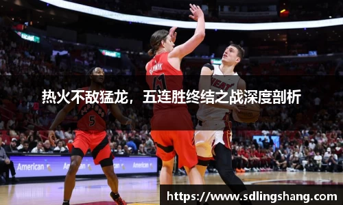 热火不敌猛龙，五连胜终结之战深度剖析