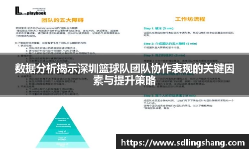 OE欧亿官方网站