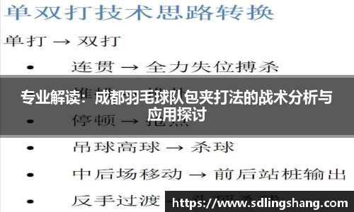 专业解读：成都羽毛球队包夹打法的战术分析与应用探讨