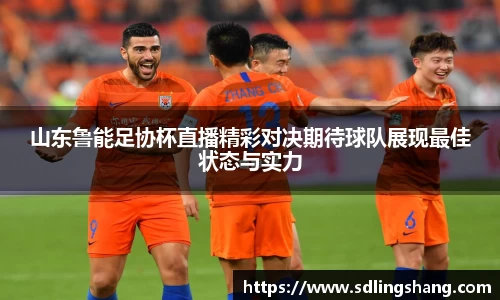 山东鲁能足协杯直播精彩对决期待球队展现最佳状态与实力