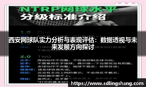 西安网球队实力分析与表现评估：数据透视与未来发展方向探讨