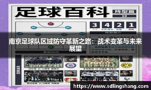南京足球队区域防守革新之路：战术变革与未来展望