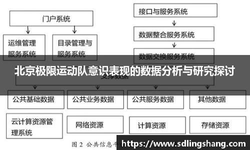 北京极限运动队意识表现的数据分析与研究探讨