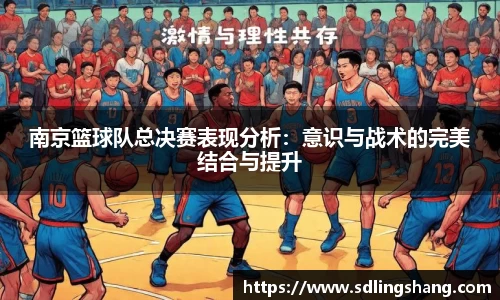 南京篮球队总决赛表现分析：意识与战术的完美结合与提升