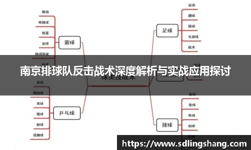 南京排球队反击战术深度解析与实战应用探讨